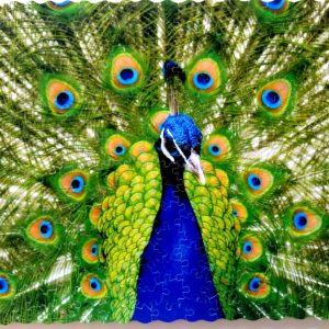 Green Peacock - Hand Crafted Wooden Jigsaw Puzzle for Adults, Colorful