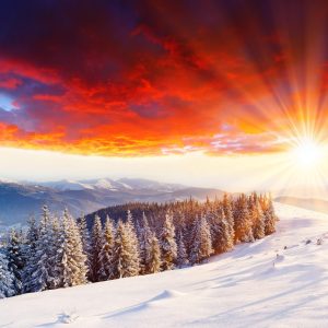 Winter Sunset / Custom Hand-Cut Wooden Jigsaw Puzzle For Adults / Challenging Wooden Jigsaw Puzzle