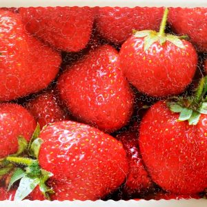 Strawberries / Hand-Cut Wooden Jigsaw Puzzle For Adults / Challenging Hand-crafted jigsaw puzzle / Mrgogo Custom Puzzles
